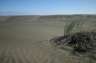 More dunes, and some vegetation just to remind you that you're not in the middle of the Sahara.