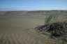 More dunes, and some vegetation just to remind you that you're not in the middle of the Sahara. 