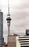 The Sky Tower, decorated appropriately.