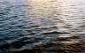 Reflections of the sunset in the water.