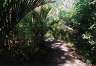 Lovers Walk, an alternative way to the top of the Domain to the Centennial Pathway. It's impressive how un-park-like it feels here, they've done a good job of letting it get back to nature. (or at least faking it well enough to fool the likes of me). 