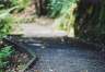 Further up, there's more of a real path.