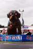 A large inflatable dog advertising used cars -- now, large inflatable roadside things aren't so strange, but what I want to know is what happened to its eyes? 