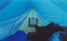 The view from inside my tent.