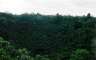 The crater at the middle of the island, now full of trees rather than lava. 