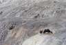 Sulfur, white kaolin, mud.
