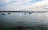 A canoeist (kayaker?) paddles by with downtown in the background. 