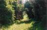 One of the many amazingly pleasant paths you can wander down.