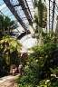 Compare the size of the leaves at the top to the size of the people at the bottom..