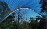 The bird enclosure at Auckland Zoo has a weird sort of arched roof; this is it. 