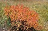 Autumn is setting in, and there's some amazing colours to be seen.