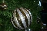 It'll take reasonable close-ups, too -- though, to be fair, the silver and gold bauble here is about a foot across.