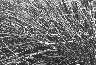 Grass; I always like the contrast you get between highlights and the shadowy depths here.