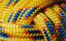 A monkeys-fist knot tied in ~8mm climbing rope. I liked the mixture of patterns at different scales (knot/weave in line/fibres within the weaves) and the texture of the rope itself.
