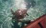 Turtles swimming around. These would have been more impressive had we not swum by one not trapped in cages in Hawaii.