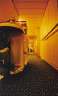 Mr Doggy tours the ship. The corridor outside our cabin.