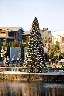 Christmas is on the way.. not that you can tell by the weather, mind you.