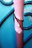 Not all of Disneyland is shiny and new -- some bits could definitely do with a bit of re-painting.. (this is a column you pass when queueing for the Alice in Wonderland ride)