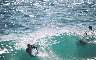 People boogie boarding at Sandy Beach itself.