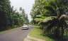 This is what we mostly saw on Moorea, a road heading off towards who knows what.