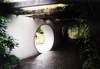 chinese garden 1