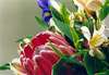 protea bouquet 2