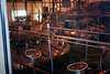 tillamook making 1