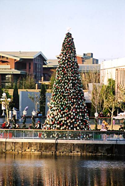 xmas tree