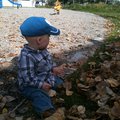 IMG_0910.jpg