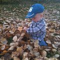 IMG_0913.jpg