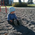 IMG_0938.jpg