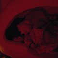IMG_7512.jpg