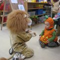 IMG_7532.jpg