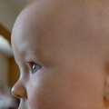 P1000289.jpg