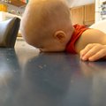 P1000890.jpg