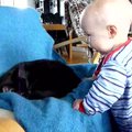 vid_nicholas_says_cat.avi
