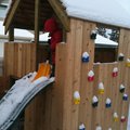 IMG_0989.jpg
