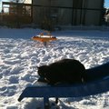 IMG_0996.jpg