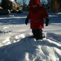 IMG_0998.jpg