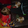 P1030221.jpg