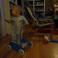 vid_nicholas_self_walker.avi
