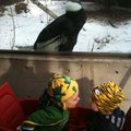 IMG_1021.jpg