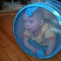 IMG_1029.jpg