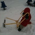 IMG_1041.jpg
