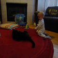 vid_nicholas_michael.avi