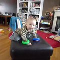 vid_nicholas_walks.avi