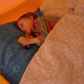 P1030664.jpg