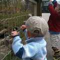 IMG_1147.jpg
