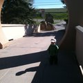 IMG_1150.jpg