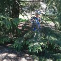 IMG_1192.jpg